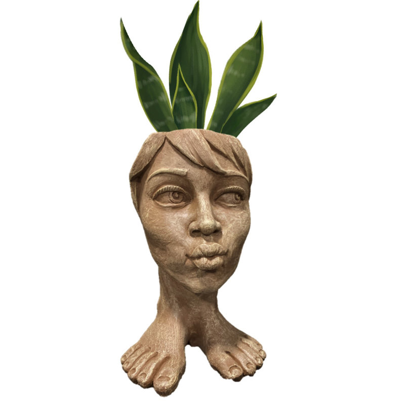 Muggly's Aunt Tia Maria Face Statue Planter, Brown