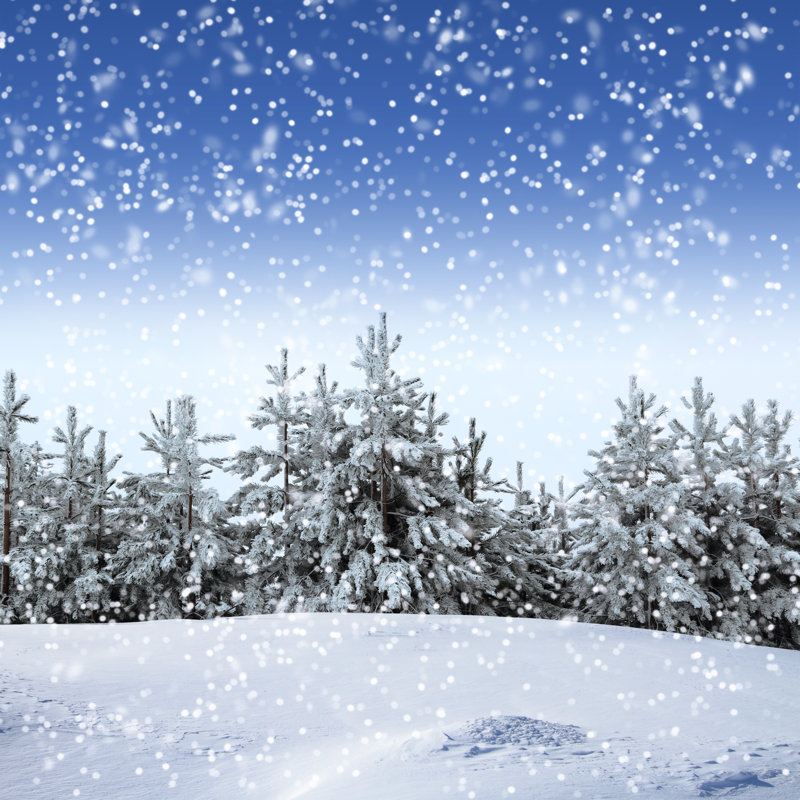 Neige couverte d'arbres - Photographie sur toile tendue, H 12 po x l 12 po