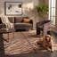 Tapis Fayalite à motifs animaux, crème, noir et beige, antidérapant, à poils courts, pour l'intérieur et l'extérieur, adapté aux animaux de compagnie, salon, chambre, salle à manger, entrée, couloir, bureau, lavable-641972821