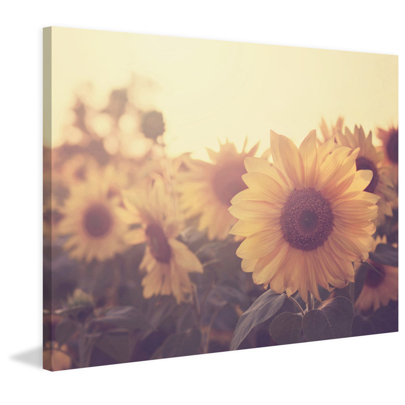 « tournesol septembre », reproduction de photo sur toile tendue, H 40 po x l 52 po x P 1,5 po