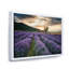 Sunrise & Dramatic Clouds Over Lavender Field VII - reproduction de cadre flottant sur toile-59651419-59651408
