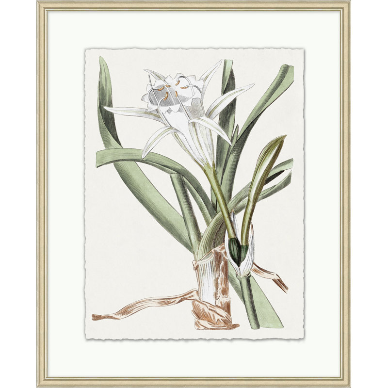 Achromatic Fleur 2 Print
