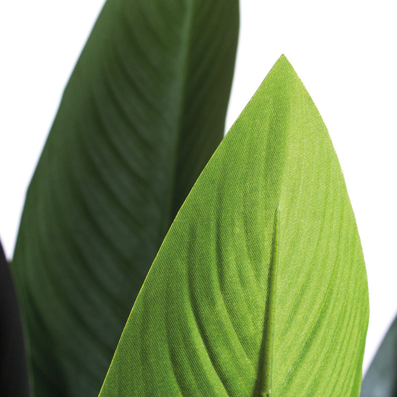 188 cm H Faux Foliage Tree Plant in Plastic Pot