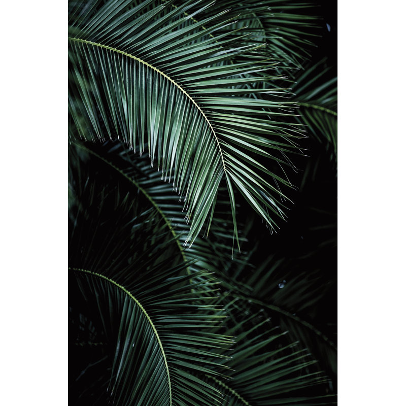 2.8m x 1.9m Embossed Wallpaper Roll