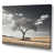 Wrapped Canvas
