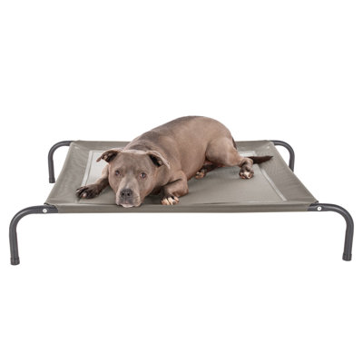Elevated Cot Pet Bed