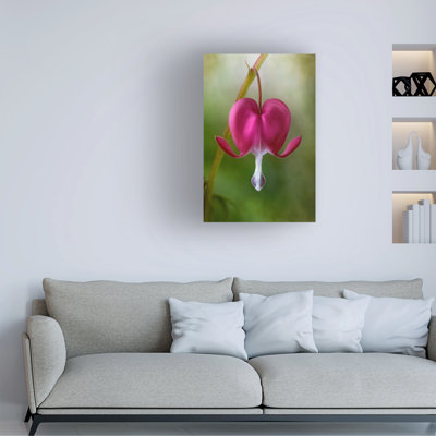 Mandy Disher