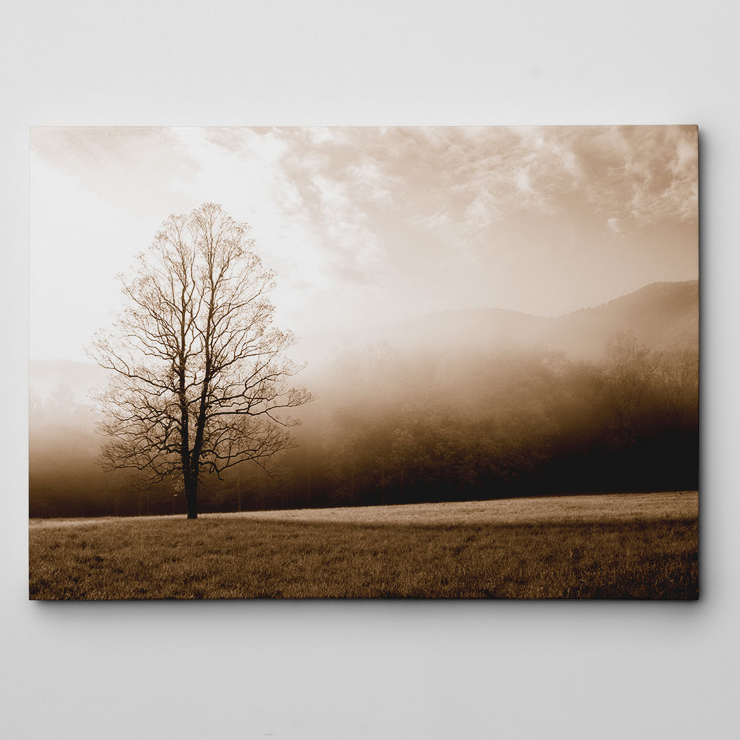 "Meadow Solace" by Danita Delimont Photographic Print on Wrapped Canvas Wexford Home 