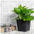 5" Square Nursery Plant Pot - Garden Plastic Pots with Drainage (5-Pack)-1216773520