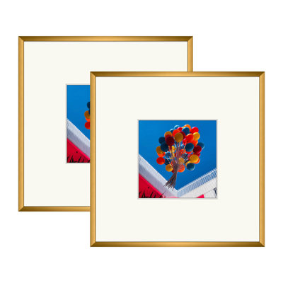 Drennon Metal Picture Frame with Mat