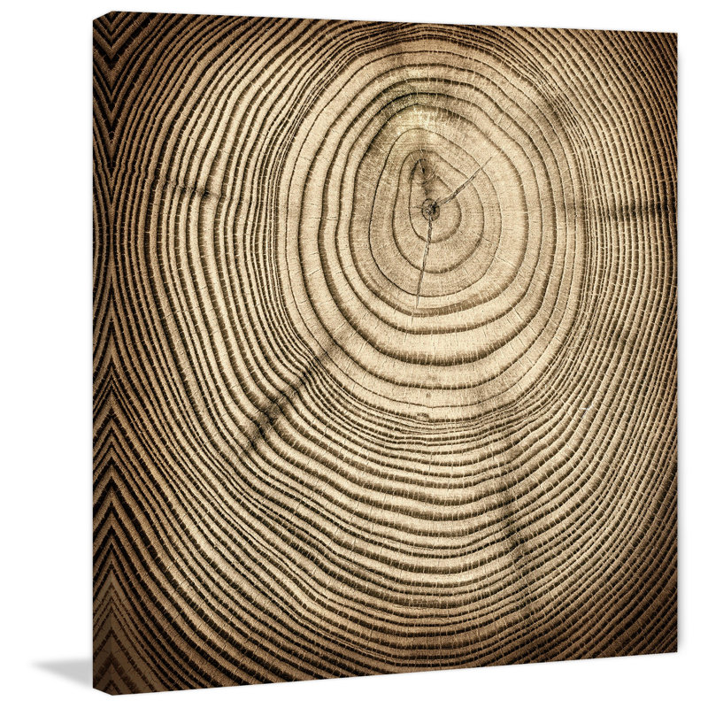 «Rings of Age», reproduction d'art sur toile tendue, H 32 po x l 32 po x P 1,5 po