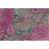 Green/Pink selected