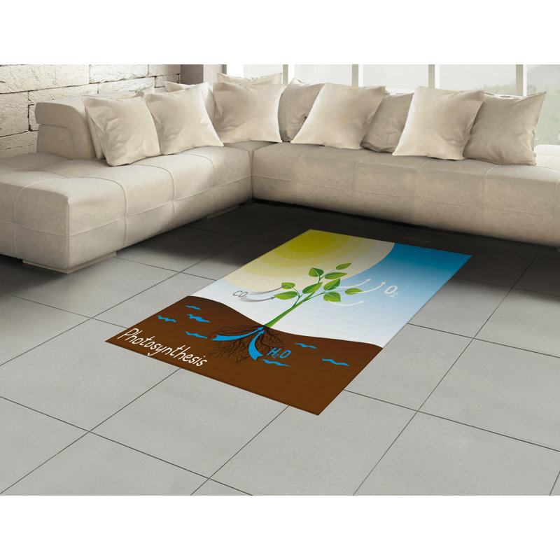 Tapis décoratif à longues fibres en fibres à haute densité Science, Rectangle 2 pi 7 po x 5 pi