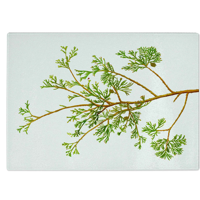 Tempered Glass Cypress Tree Branch Chopping Board, 39 cm W x 28.5 cm L