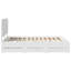 Bed Frame-1957406800-1957406806