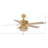 La Mott 52'' Ceiling Fan with Light Kit
