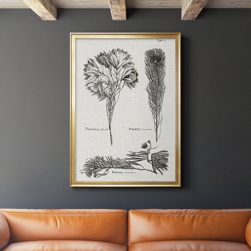 Protea on Linen I noir et blanc - impression d'un seul cadre photo, Or, H 42,5 po x l 30,5 po x P 1 po