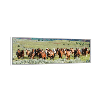 Band On The Run by Rhonda Thompson - Floater Frame Panoramic Print on Canvas