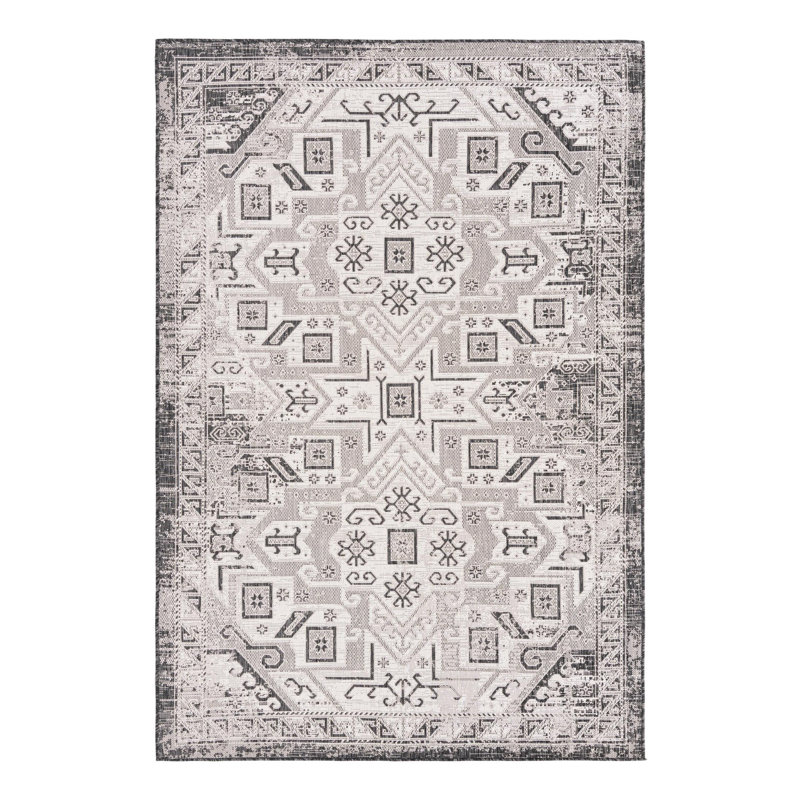 Alucard Indoor / Outdoor Rug, Rectangle 6' x 9'