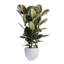 Pot à fleur Dorlis Fiberstone-881441044-881441128