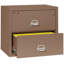 Fireproof 2 - Drawer File Cabinet-331546-217206