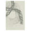 Abstract Gray Markings by Cartissi — Abstract Wall Art-1192362212-1192362217-1192362011