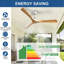 Ventilateur de plafond 42 po avec télécommande-422312979-422312987-431219106