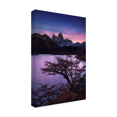 Yan Zhang  Passage Of Light Canvas Art