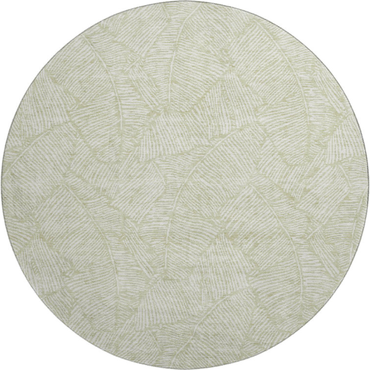 Premium Machine Washable Prisco Aloe Rug