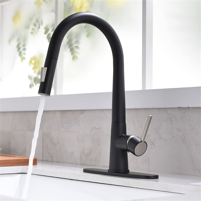 FLG 1270series Pull Down Kitchen Faucet