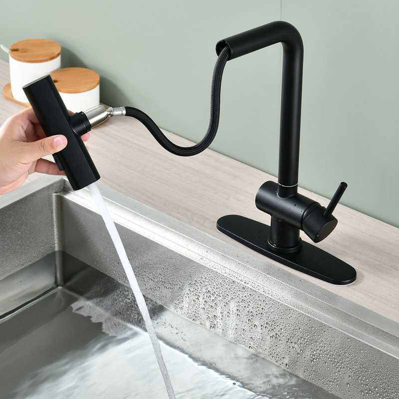 Robinet de cuisine à cascade avec douchette extractible et conduite d'eau, Noir mat