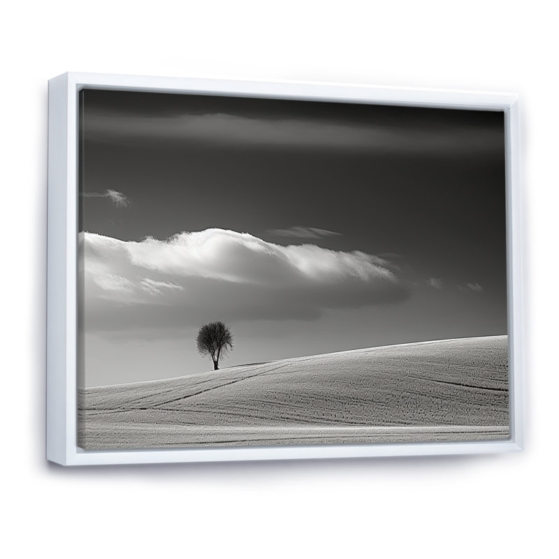 Paysage d'hiver photo III sur toile, Cadre flottant blanc, H 16 po x l 32 po x P 1 po