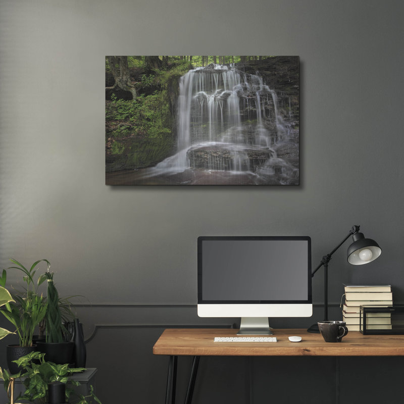 Ivy Bronx «Gunn Brooks Falls» par Patrick Zephyr, art mural en métal, H 24 po x l 36 po