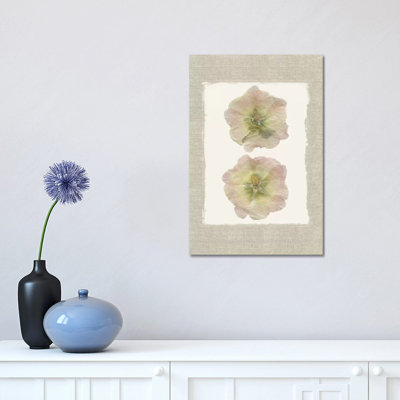 Pressed Hollyhocks I by Carol Robinson - Wrapped Canvas Painting