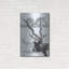 «Black Buck» par Barbara Keith-302720229