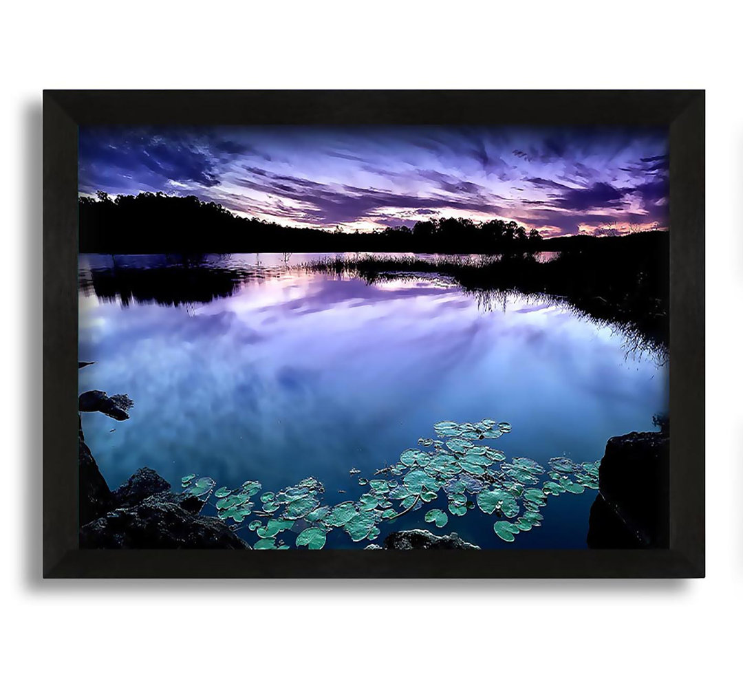 Gerahmtes Leinwandbild Calm Dusk Water Lily Pads