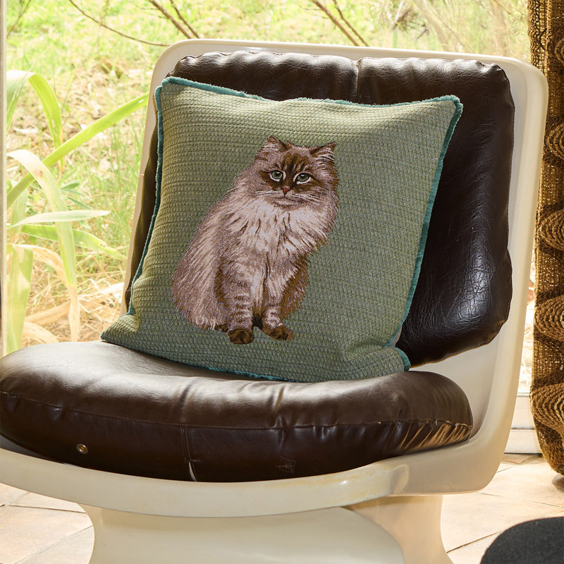 Aime Decorative Pillow, Brown/White