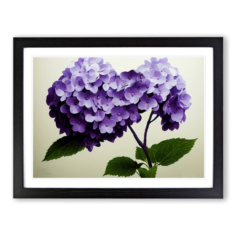 Hydrangea Flowers Vol.1 - Single Picture Frame Print, 25cm H x 34cm W x 2cm D, Black