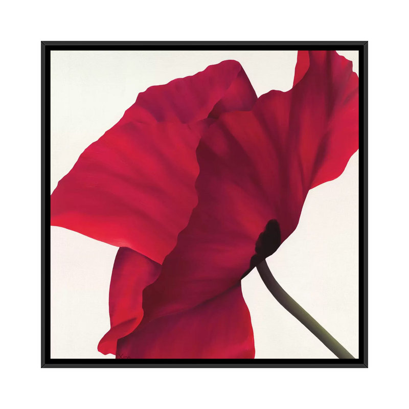 « papaver ii », impression sur toile, H 18 po x l 18 po x P 1,5 po, Toile avec cadre noir, Pas de tapis