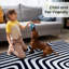 (5 pi x 7 pi) Tapis en laine touffeté à la main avec dossier en latex, tapis antidérapant-756165409