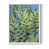 White Single Picture Framed