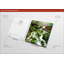 Mystic Ways - No Frame Print on Glass-16493494