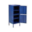 Merren 2 -Door 4 -Shelf Cabinet Office Storage Cabinet