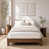 Noyer simple TG - noyer