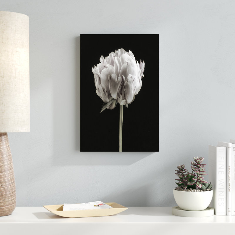 Portrait de pivoine rosée II, H 18 po x l 12 po x P 1,25 po
