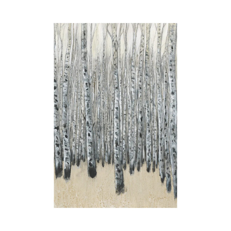 Neutral Aspen II by Tim OToole - Wrapped Canvas Print, 101.6 cm H x 66.04 cm W