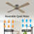 Avagail 54-inch 4-Blades Indoor Ceiling Fan with Remote-1207176968-1207176972
