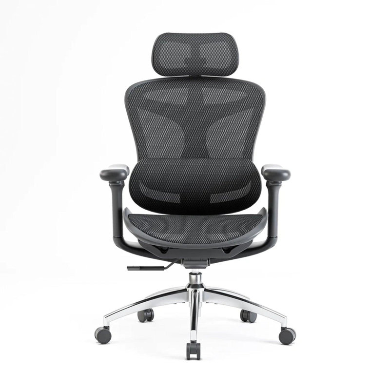 C300 Computer Chair, Ergonomic Chair with 4D Armrests , Dynamic Lumbar Support, for Home & Gaming, Black