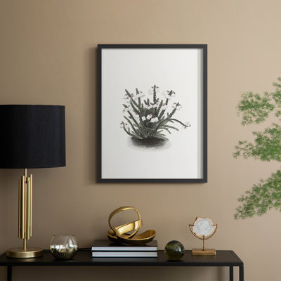 Vintage Floral Print CLXXI Framed Print - Solid Wood