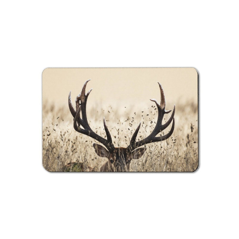 Tapis pour salle de bain Antler
